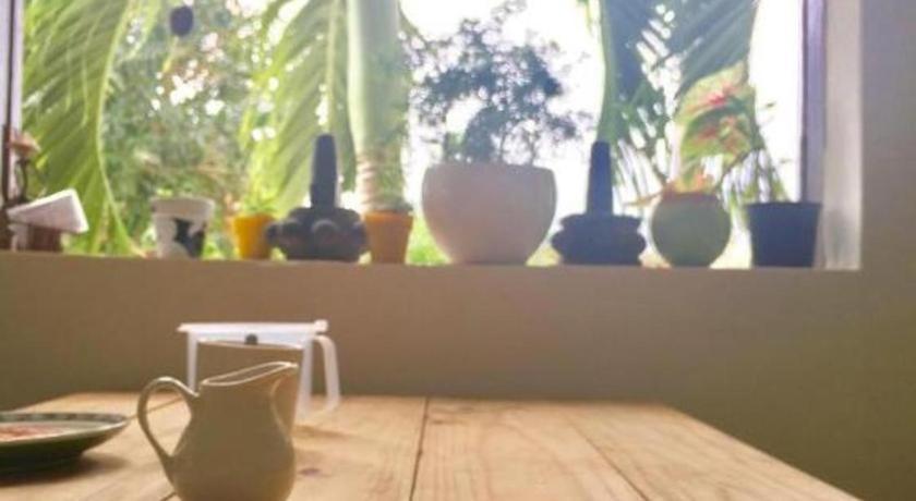 Birdnests Hotel Vinh Hai المظهر الخارجي الصورة