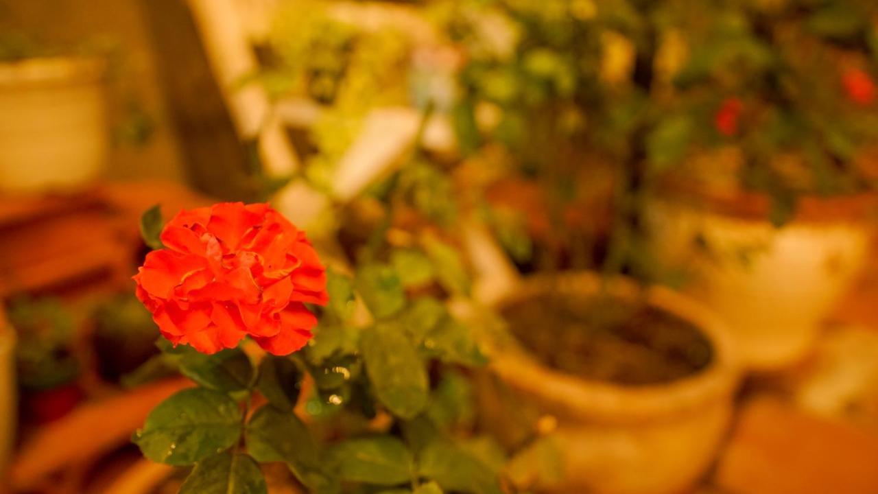 Birdnests Hotel Vinh Hai المظهر الخارجي الصورة